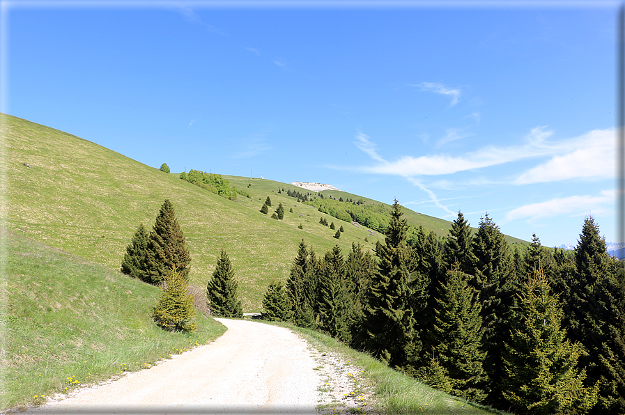 foto Monte Lisser